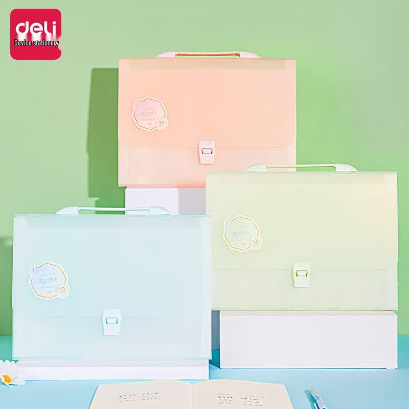 Deli A4 13-Pocket Pearlescent Accordion File Folder