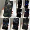 Black Cat Staring Eye Phone Case For iPhone 16 15 13 12 11 14 Pro Max 15 16 Plus 12 13 Mini XR 16e Funda Cover