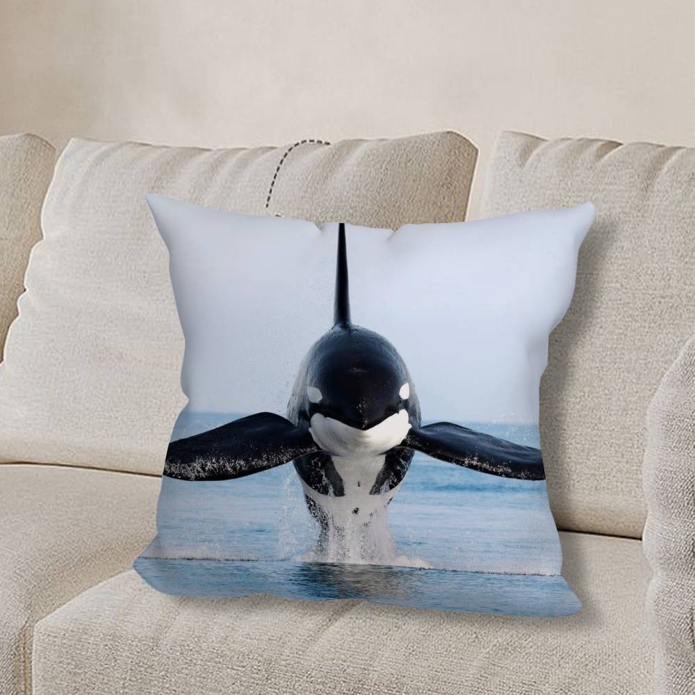 O-Orca Velryba W-Velryby Povlak na polštář Pohovka Obývací pokoj Ložnice Čelo postele Opěrka Polštář Čtvercový polštář Čas na zdřímnutí