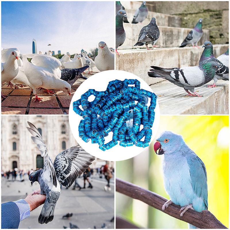 Pigeon Identification Rings 50pcs Safe Birdhouse Accessories Universal Pigeon Supplies Bands Bird Foot Rings For Racing Parrot