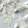 Tanga sexy din dantelă Chiloți cu talie joasă pentru femei Fluture Decupaj transparent Lenjerie de damă Slip de damă Lenjerie de corp pentru femei cu spatele în T
