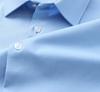 [Wrinkle Resistant and Easy To Maintain] Langdeng 2025 Autumn New Business Shirt Men's Long Sleeved Commuting Formal Shirt