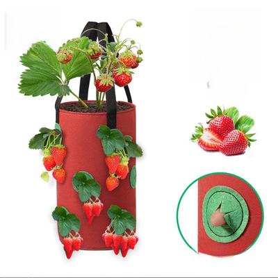 Waterproof 12-Pocket Hanging Strawberry and Herb Planting Bag for Gardening