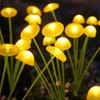 Solar Garden Lights Dual Mode Led Solar Mushroom Lights Waterproof Decor Yard Patio Pathway Jellyfish for Garden Ambiance