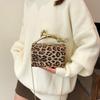 Women's Bag Personality Leopard Print Acrylic Women's Small Square Bag New Exquisite Foreign Style One-shoulder Crossbody Bag Handbag Women