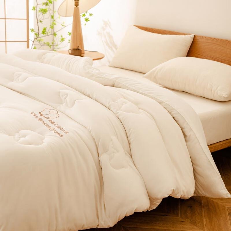 Embroidered Warm Polyester Fiber Quilt