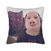 John Pork Traditional Polish Krakow Square Pillow Covers Room Funny Meme Cushion Case Cool Decor Throw Pillow Case 40*40