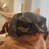 Neue 3D-Druck Katzen Fledermaus Maske Hund Lustiges Headset Katze Kopfschmuck Kreative Haustiermaske Gesichtsdekoration 2025
