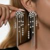 Silver Needle Geometric Tassel Earrings: High-End, Personalized Fashion with Versatile Design.