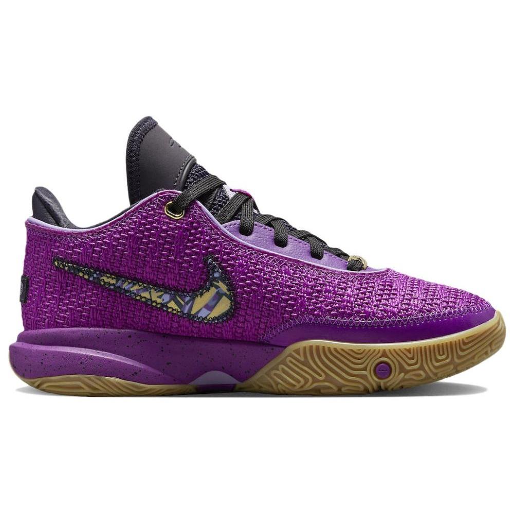 (GS) Nike LeBron 20 'Young Heirs' Kids' FD0207-500