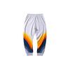 Li Ning Sports Pants Men's Standard White Moderate AKLP789-2