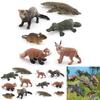 Exquisite Plastiktierfiguren, einschließlich Kurzschwanzluchs, Roter Panda und einzigartiges Schnabeltier, ideal für Heimdekoration und Bildungszwecke