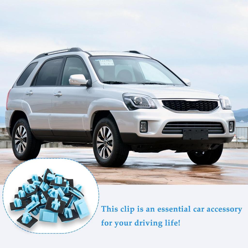 30PCS Rocker Moulding Door Panel Clips,Car Retainer Clips Automotive Clips and Fasteners Replacement OEM#87756-1F000,Compatible with Hyundai Santa Fe