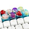 Clear Keycaps Featuring Underwater And Ocean Creature Pattern For Mechanical Keyboards Switches Decoration