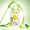 Women's perfume Long-lasting light fragrance fresh floral and fruity fragrance niche perfume for women