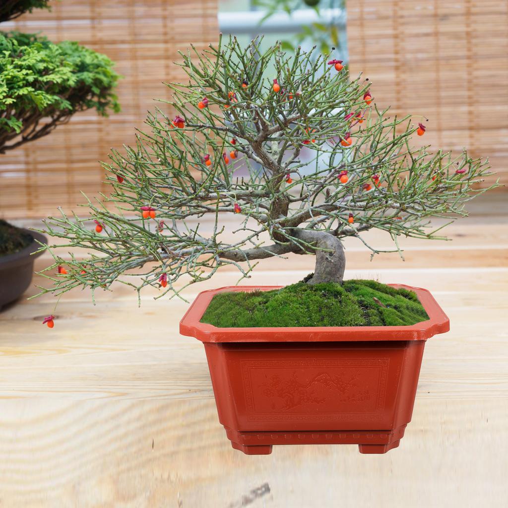 10 Pcs Ai Blue Clay Plant Pots Bonsai Rectangular Planters for Outdoor Plants Japanese Decorative Indoor Terracotta