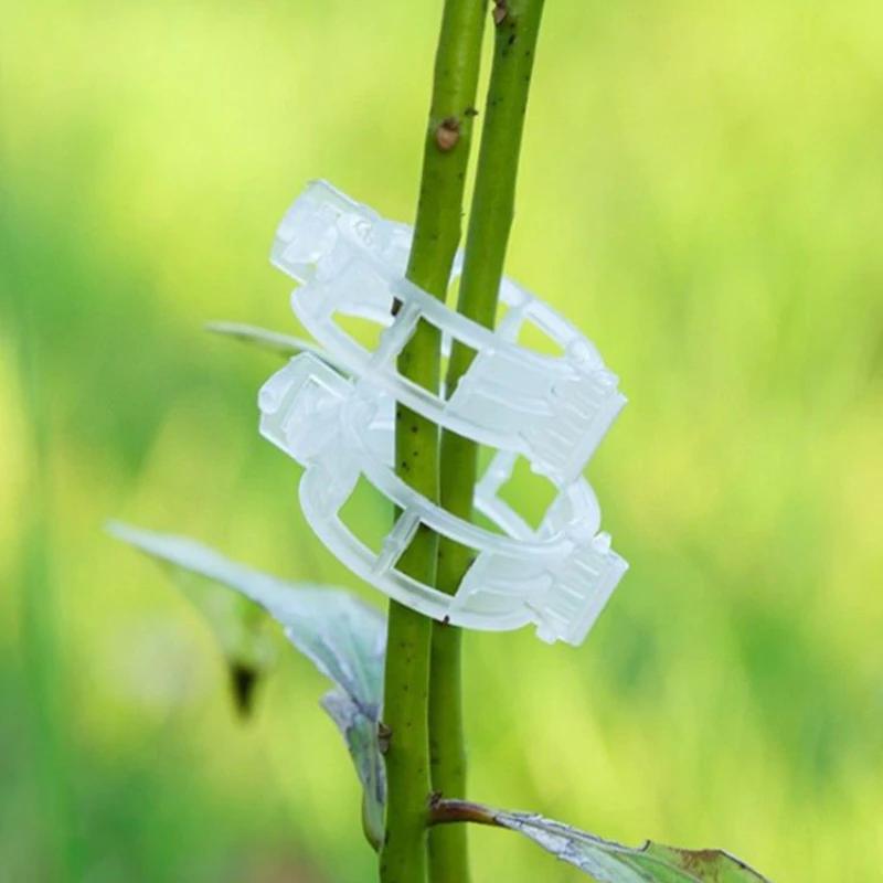 50/100 buc. Suporturi de cleme din plastic pentru plante Conectează protecția reutilizabilă Instrument de fixare pentru altoire Materiale de grădinărit pentru legume, tomate