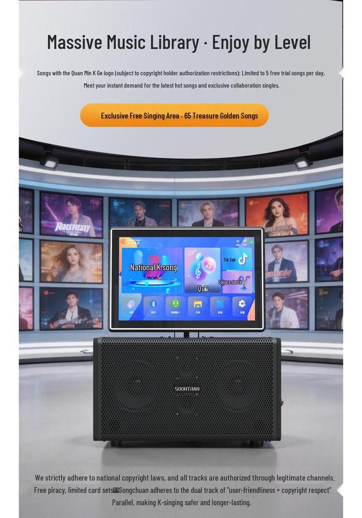 SS1-206 Portable Outdoor Karaoke Speaker: High-Power All-in-One Singing Machine