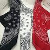 Trifong Bandana White Paisley Adult Bandana Men's Handkerchief Stylish 100% Cotton Paisley Pattern Unisex Large 55cm X 55cm White
