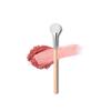 160 Blusher Fan Brush