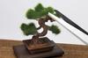 PLATZ The Bonsai 4 Plastic Model 1/12 BON-04
