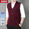 Hengyuanxiang Men's V-Neck Button-Up Knit Vest