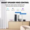 Universal Circuit Breaker Timer 10A WiFi Wireless Control Smart Switch Tuya Smart Switch Life App WiFi Voice Relay Controller