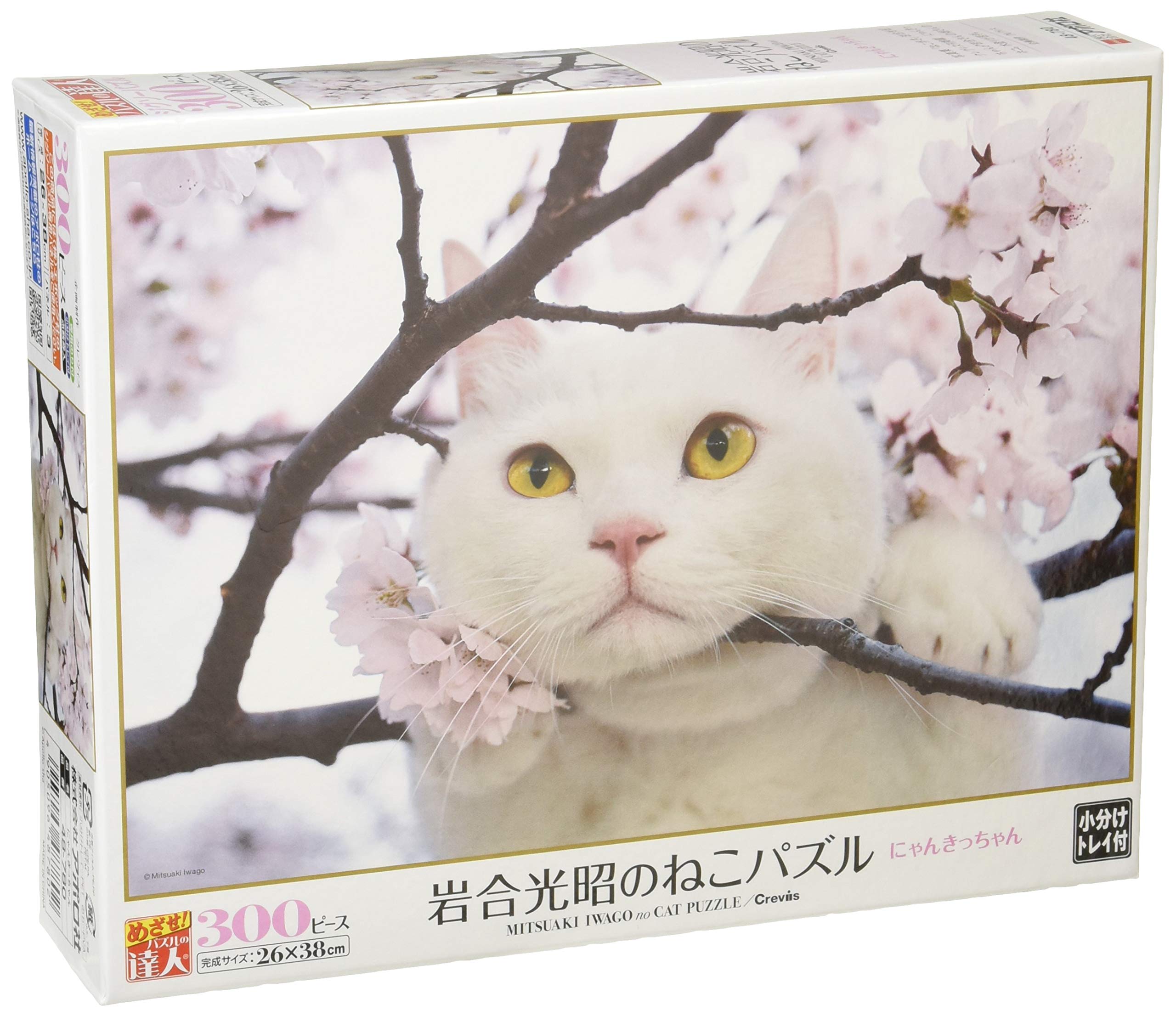 

300 Piece Jigsaw Puzzle Puzzle Master Mitsuaki Iwago Nyankitchan Aim! (26x38cm)