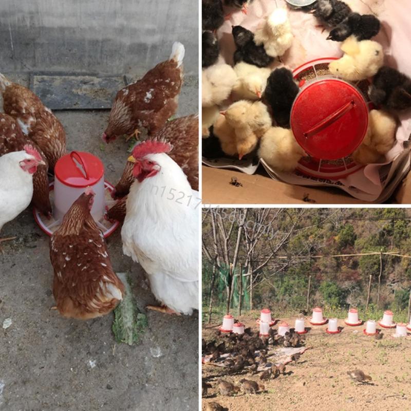 Chick Feeder Waterer Poultry Automatic Poultry Water Containers 6XDE China Mainland