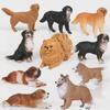 "Simulation Dog Models: Golden Retriever, Bulldog, Shepherd, Corgi, Shiba Inu Collection"