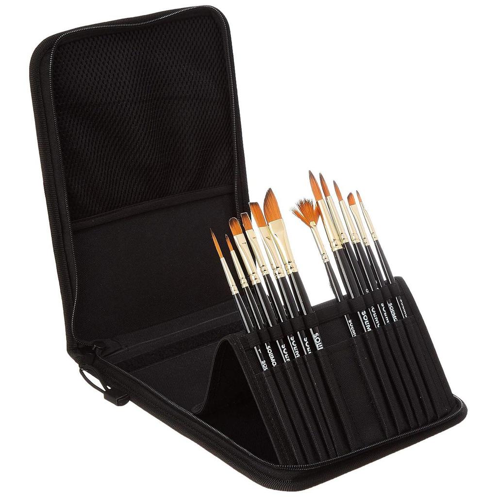 Paint Brushes for Acrylic and Water Colours, with Carry Case, 12 Piece Set