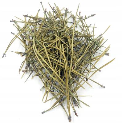 Pine Needles 1 Kg 100% Natural