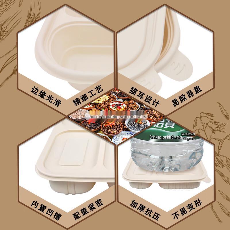 Einweg-4-Fach Biologisch abbaubarer Lebensmittelbehälter