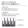 ReFa AILE BRUSH (Silver)