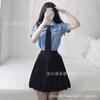 Domila Sexy Lingerie Uniform Seduction Police Pleated Skirt Passion Sexy Sex Secretary Role Suit