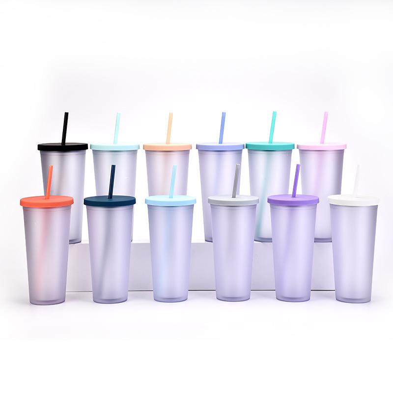 Double-Layer Plastic Straw Cup, Matte Cup, Outdoor Sports Water Cup