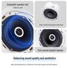 SAST 6.5-inch Coaxial Ceiling Speaker Set CN plug (adapter included)