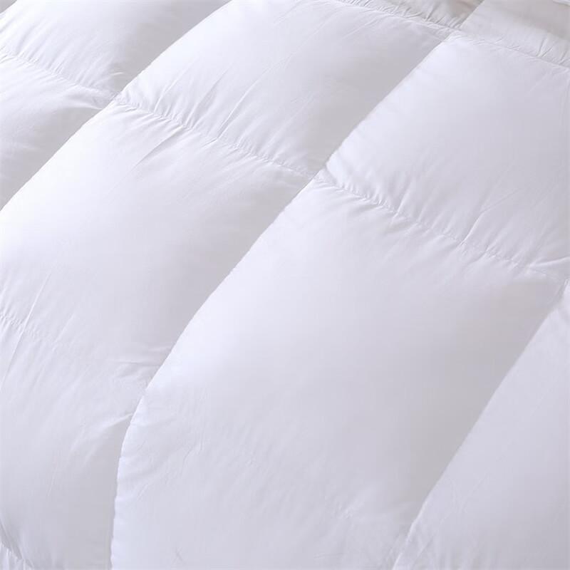 Baiweisi All-Season Velvet Feel Duvet Insert
