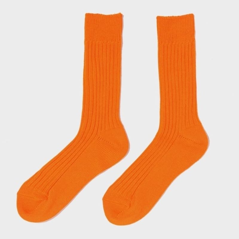 ROIDESROIS Daily Color Socks (5 Colors)