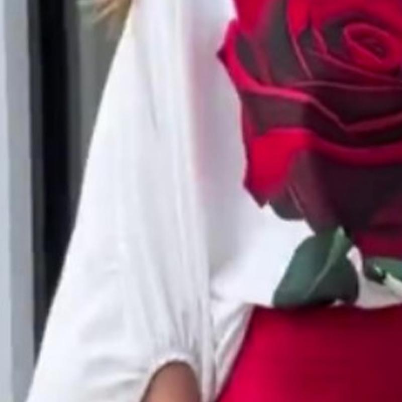 2024 Spring Women Rose Printed Blouse 2 Two Piece Set Outfits Loose High Waist Wide Leg Pants Casual Loose Oblique Shoulder Lantern Sleeve Tops 1010-8