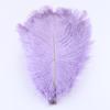 10Pieces Natural Ostrich Feather Wedding Home Decoration 15-20cm25-30cm30-35cm For Party Ostrich Plumes Centerpiece Diy Crafts
