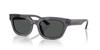 Sonnenbrille 0EA4233U TRANSPARENT GRAU 53 [Emporio Armani]