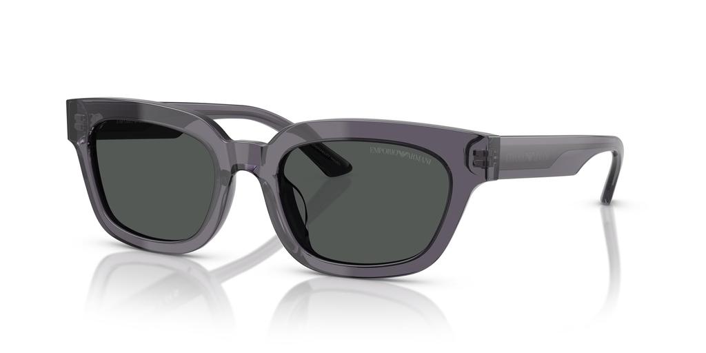 Sonnenbrille 0EA4233U TRANSPARENT GRAU 53 [Emporio Armani]
