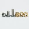 M2 M2.5 M3 M4 Heat Insert Nuts Brass and 304 Stainless Steel Hex Socket Screw Laptop Hot Melt Threaded Embedded Copper Nut Bolt