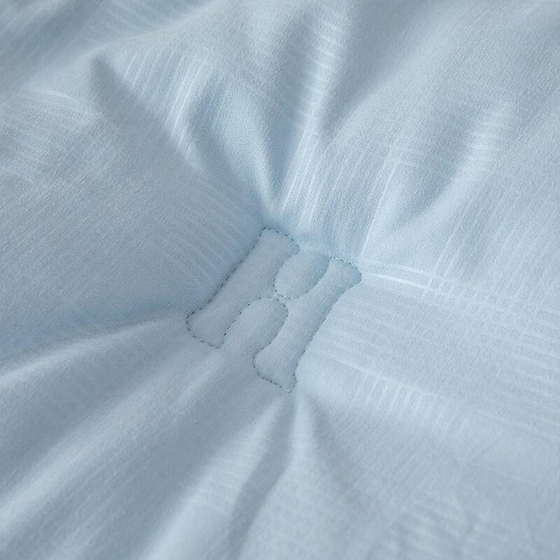 Yiyi Ai Polyester Fiber Duvet Insert