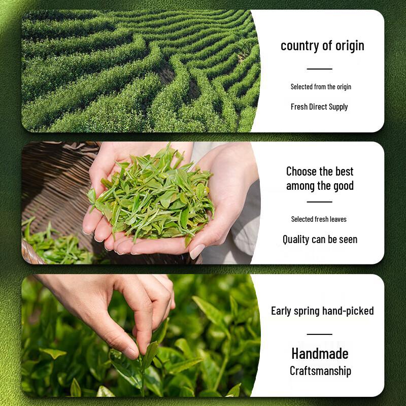 First Southriver Pre-Qingming Special Grade West Lake Longjing Green Tea