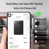 Tiger Home Safe Box with Fingerprint & Wi-Fi