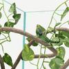 1M Artificial Reptile Vines Flexible Bendable Jungle Climbing Fake Rattan Plants For Lizards Terrarium Tank Pet Habitat Decor