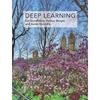 Deep Learning (Adaptive Computation and Machine Learning Series)