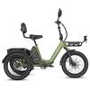 Bicicleta Eléctrica Fafrees F20 Mate Motor de 250W Frenos de Disco Doble Neumático de Aire 20"x2.5" Plegable E-Bike de Carga Pantalla LCD 48V 21Ah Carga Máxima 180Kg